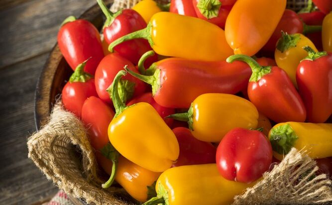 Paprikad ja piprad